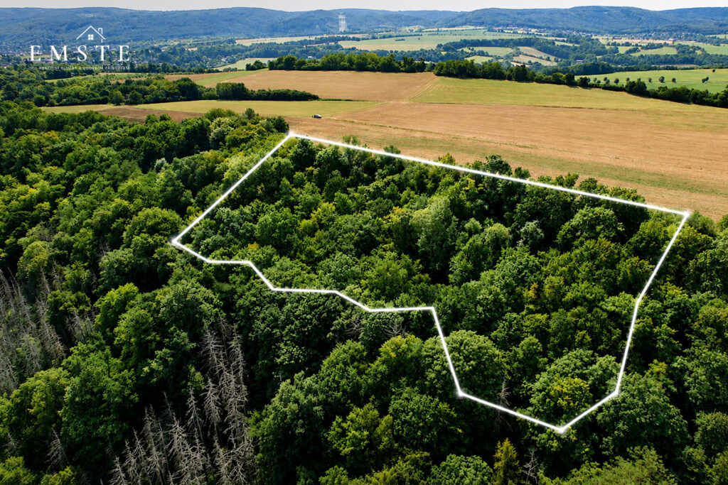 Pozemek-belec-2